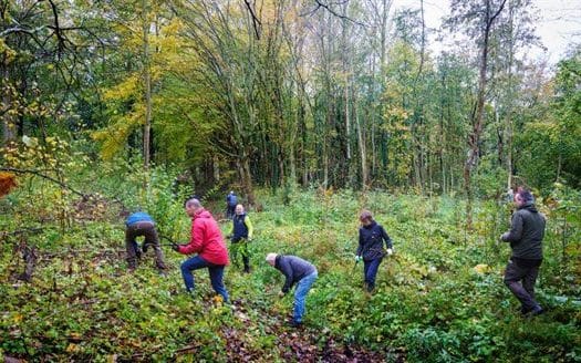 nieuw verplantseizoen