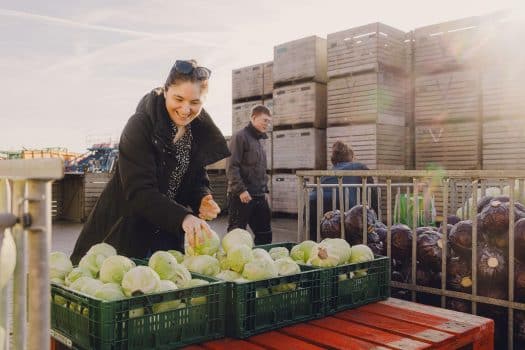Alle 916.000 kilo groente gered in drie weken tijd door actie No Waste Army
